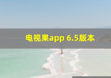 电视果app 6.5版本